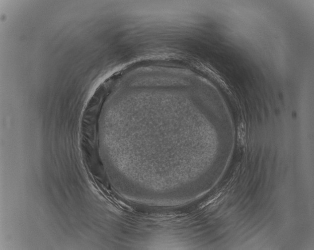 X0000073890724200609011652