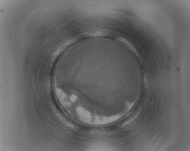 X0000073890725200609011652