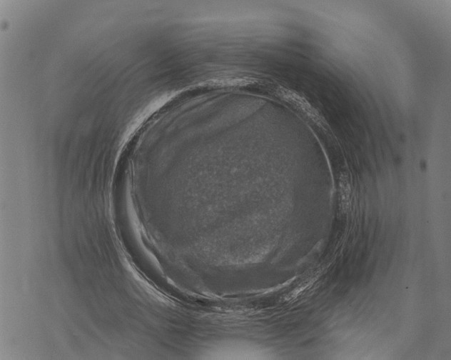 X0000073890726200609011652