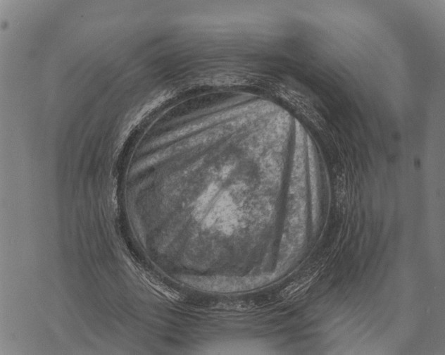 X0000073890727200609011652