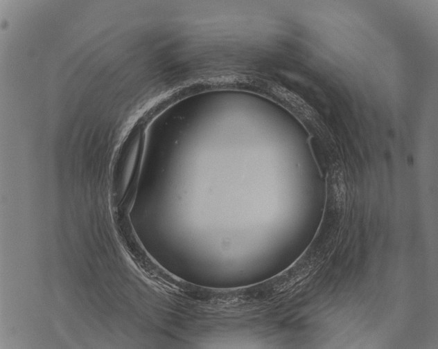 X0000073890728200609011652