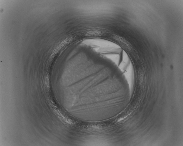 X0000073890729200609011652