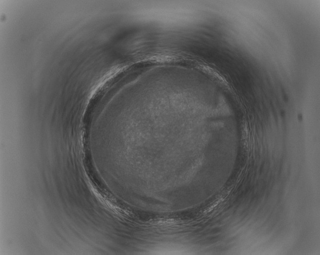 X0000073890730200609011652