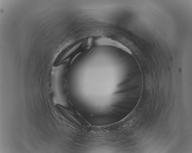 X0000073890731200609011652