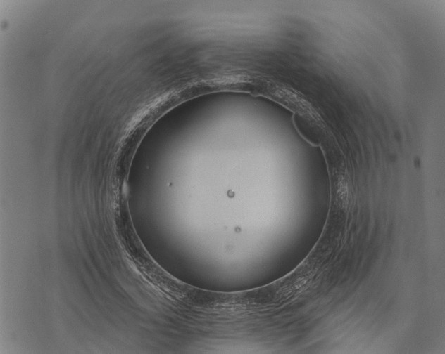 X0000073890732200609011652