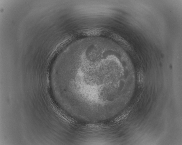 X0000073890733200609011652