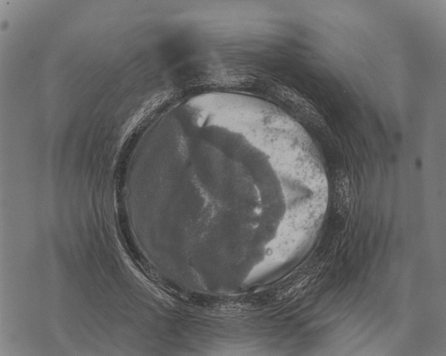 X0000073890734200609011652