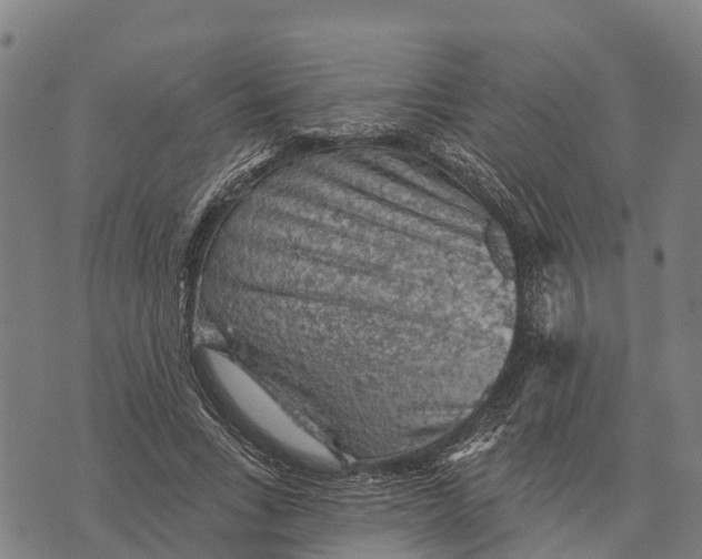 X0000073890735200609011652