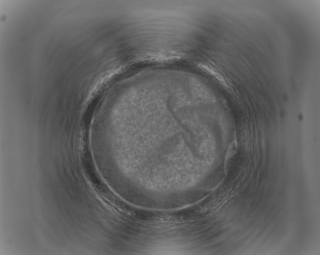 X0000073890736200609011652