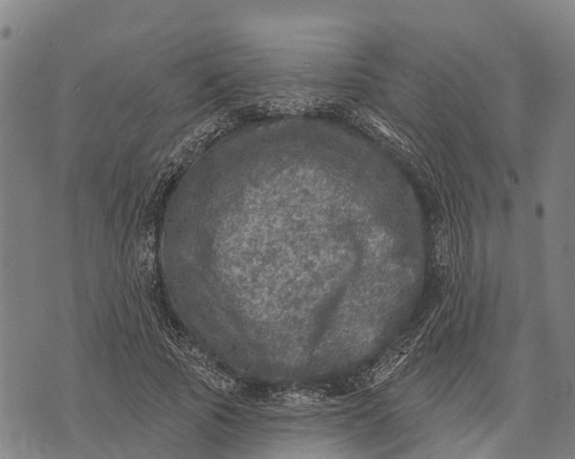 X0000073890737200609011652