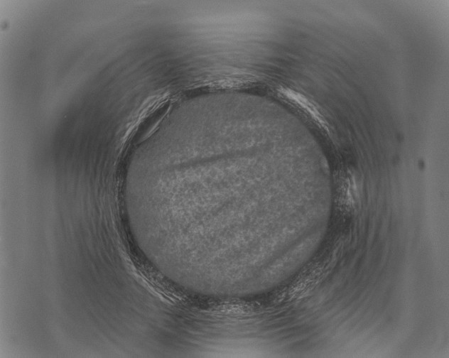 X0000073890738200609011652