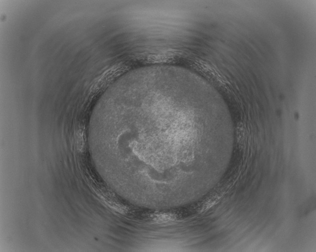 X0000073890741200609011652