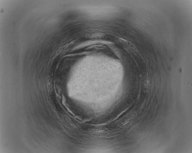 X0000073890743200609011653