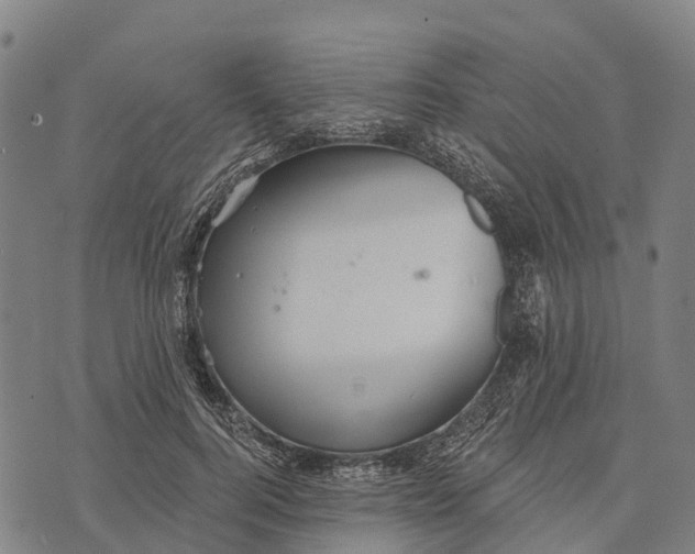 X0000073890744200609011653