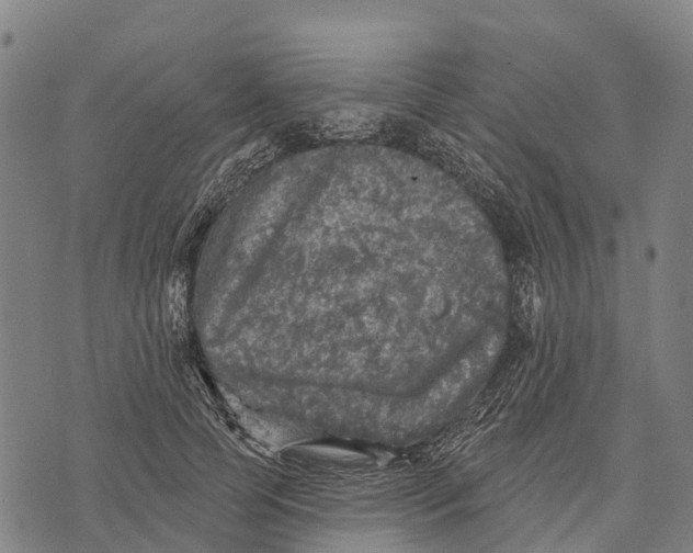 X0000073890745200609011653