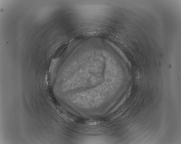 X0000073890746200609011653