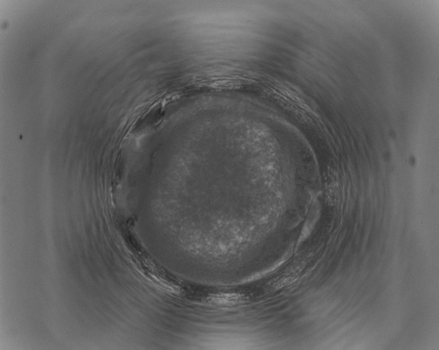 X0000073890748200609011653