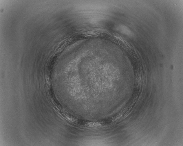 X0000073890749200609011653