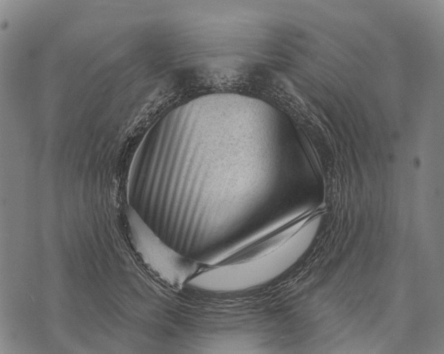 X0000073890750200609011653