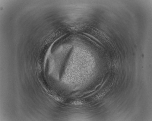 X0000073890751200609011653