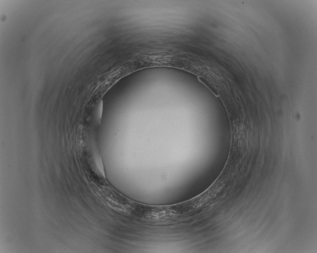 X0000073890752200609011653