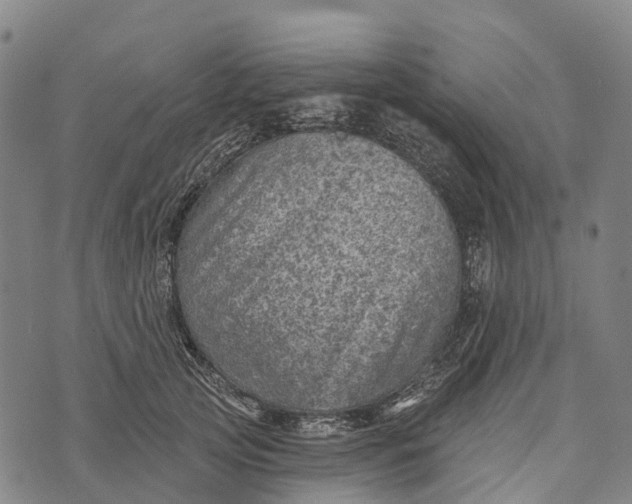 X0000073890753200609011653