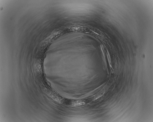 X0000073890754200609011653