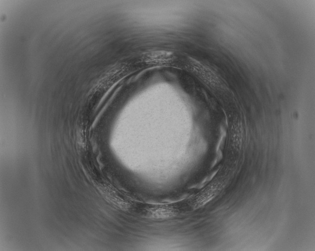 X0000073890755200609011653