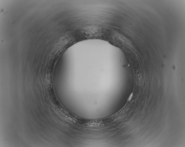 X0000073890756200609011653