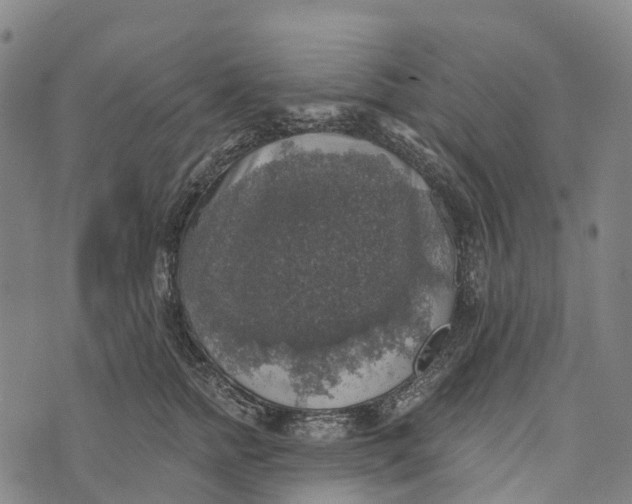 X0000073890758200609011653