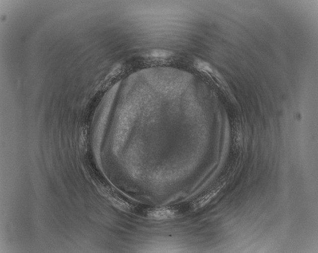 X0000073890759200609011653