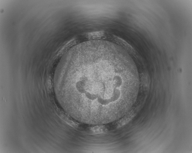 X0000073890761200609011653