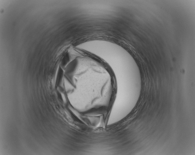 X0000073890762200609011653