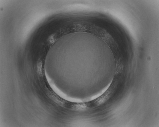 X0000073890765200609011653