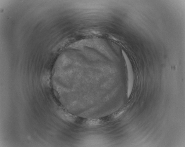 X0000073890767200609011653