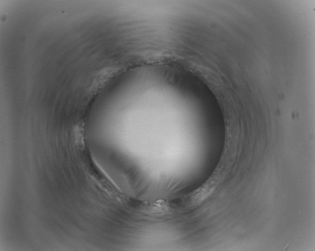 X0000073890768200609011653