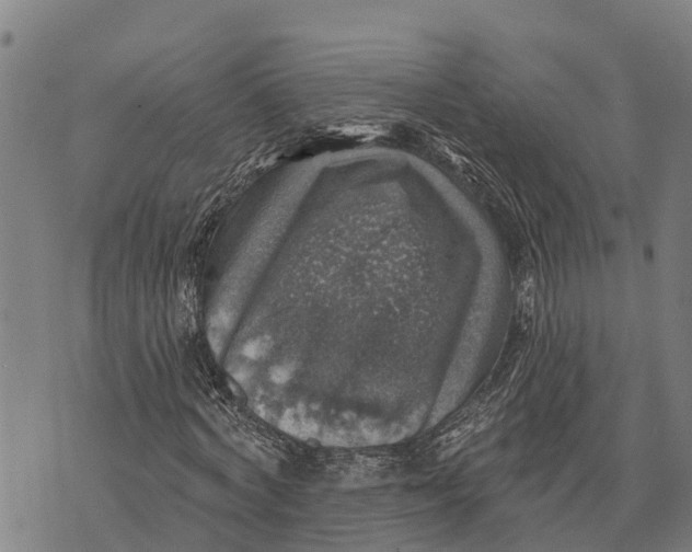 X0000073890772200609011652