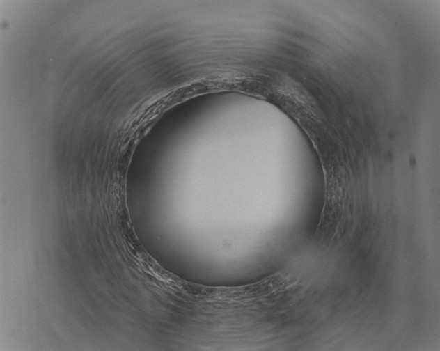 X0000073890773200609011652