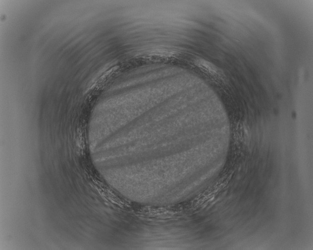 X0000073890774200609011652