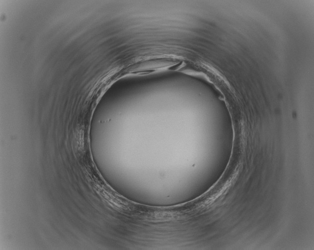 X0000073890777200609011652