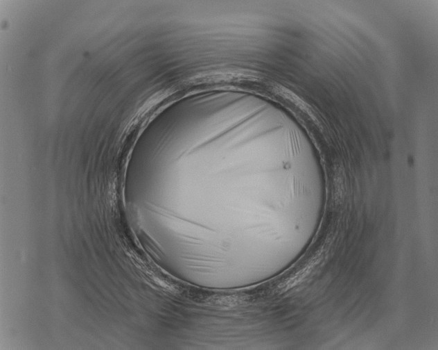 X0000073890778200609011652