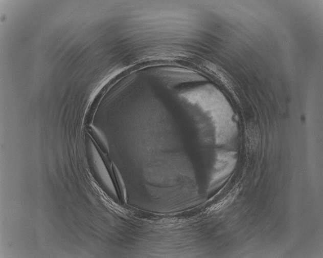 X0000073890779200609011652