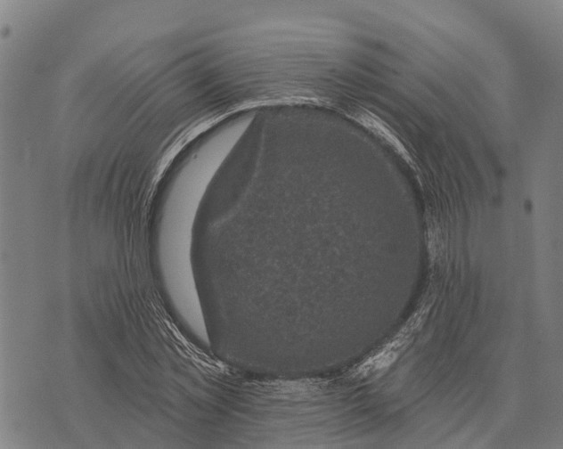 X0000073890781200609011652