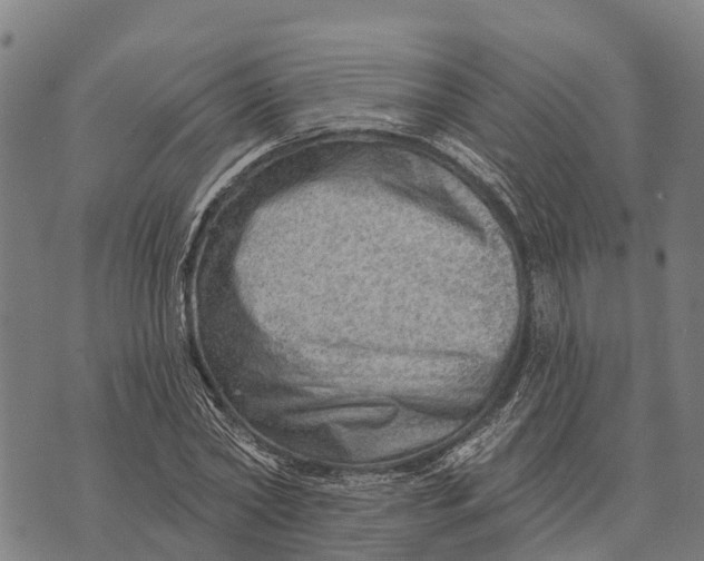 X0000073890782200609011652