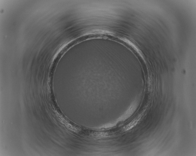 X0000073890783200609011652