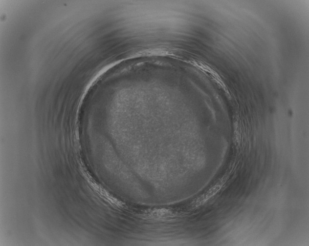 X0000073890784200609011652