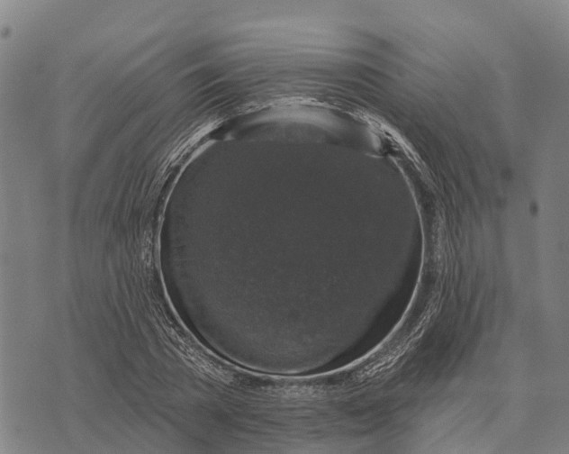 X0000073890785200609011652