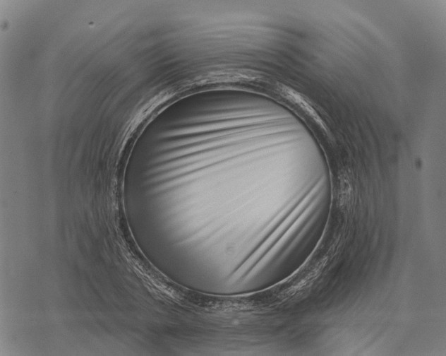 X0000073890786200609011652