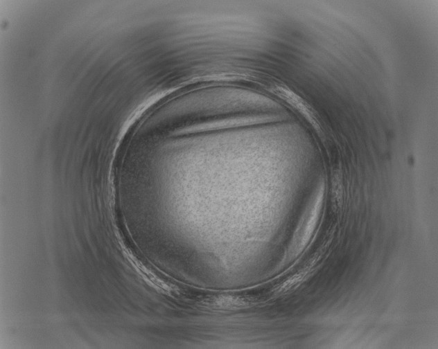 X0000073890787200609011652