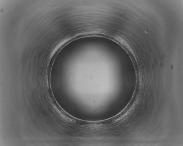 X0000073890789200609011652